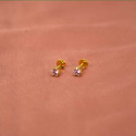 Gold Plated Small Single Stone Ear Studs