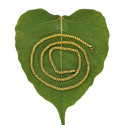 Designer Thick Gold Plated Coir Chain