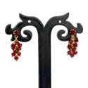 Trendy Gold Plated Crystal Drop Earrings