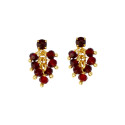 Elegant Gold Plated Crystal Cluster Hanging Earrings